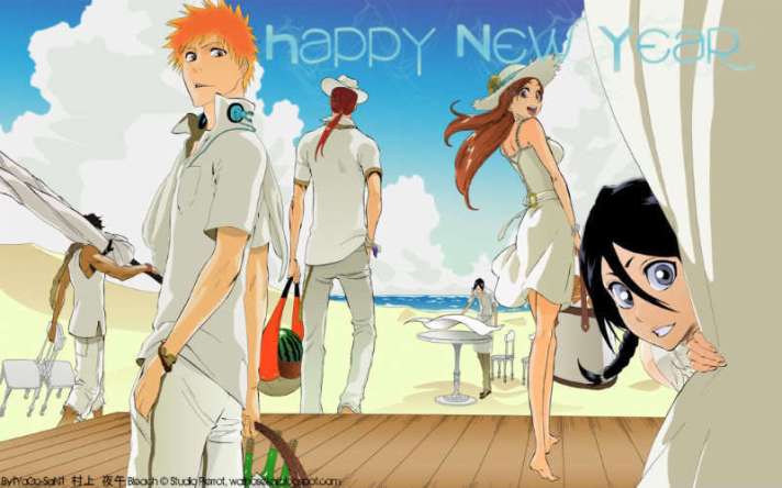 happy-new-year-bleach-anime-17487883-800-500